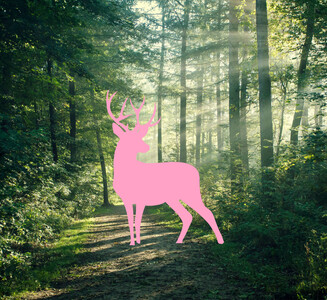 Spazieren: Die Landschaft um das Zwhatt ist geprägt von ausgedehnten Flachmoorzonen mit seltenen Pflanzen und vielen Tieren. Neben dem Katzen- und Büsisee lohnen sich die umliegenden Rebberge für Spaziergänge.