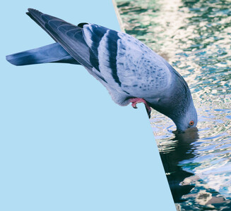 Quartierbrunnen: Der Brunnen ist der Mittelpunkt des Zwhatt-Platzes. Darin kann man die Füsse baden, Getränke kaltstellen – und für Kinder ist er ideal zum Planschen.