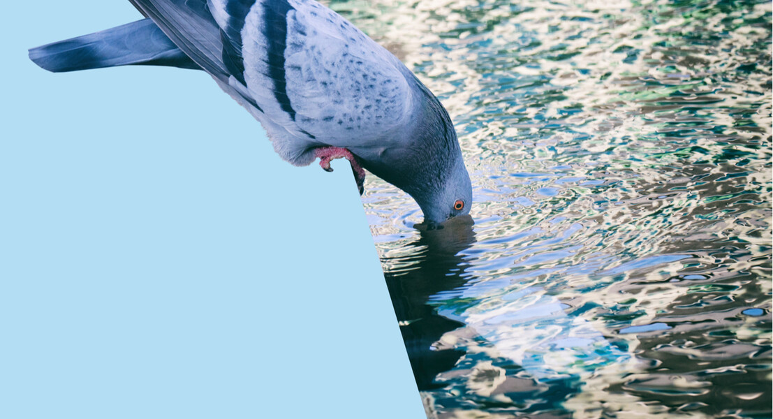 Quartierbrunnen: Der Brunnen ist der Mittelpunkt des Zwhatt-Platzes. Darin kann man die Füsse baden, Getränke kaltstellen – und für Kinder ist er ideal zum Planschen.